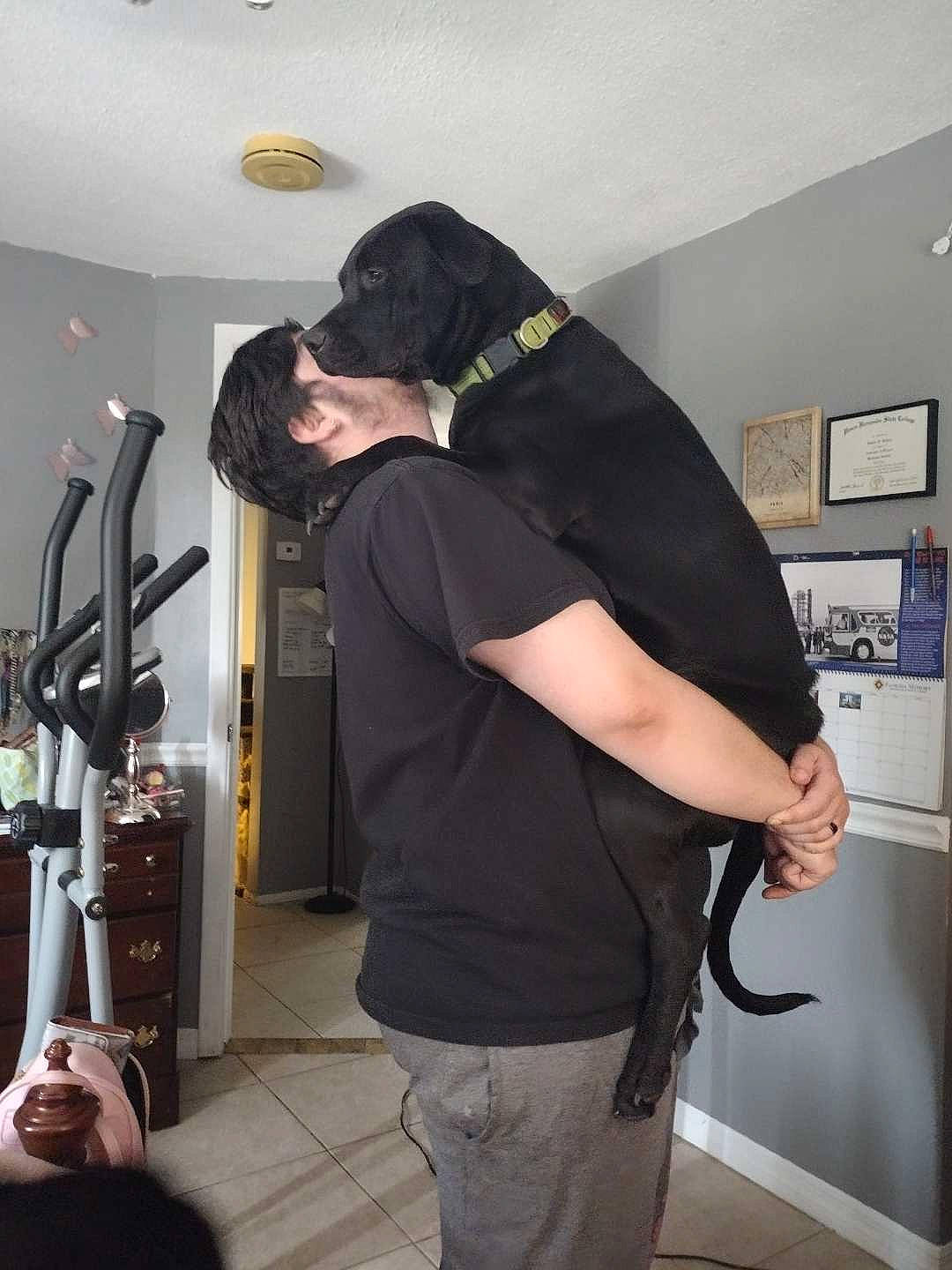 Griffin is registered to the contest to win money with this photo: audio_equipment, baseball_cap, camera, camera_operator, cameras_optics, chest, cinematographer, elbow, exercise_machine, flooring, hardwood, hat, joint, picture_frame, room, shoulder, t_shirt, tripod, videographer, waist