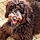 Daisey