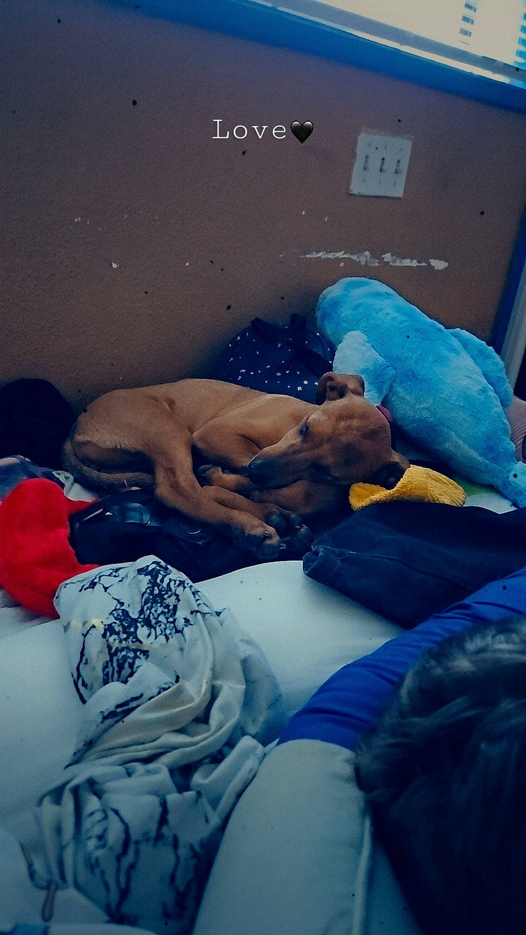 Shae joined the competition — help win amazing prizes! abdomen, barechested, bedding, chest, child, comfort, elbow, electric_blue, event, flesh, fun, human_body, leisure, linens, medical, room, service, sitting, t_shirt, trunk