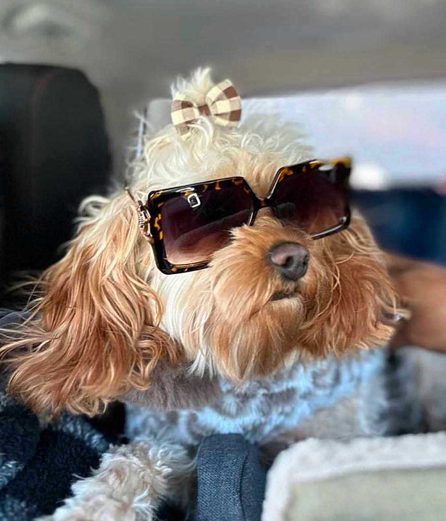 Millie