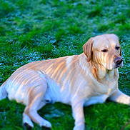 Taz participe au concours pour gagner de l'argent avec cette photo :