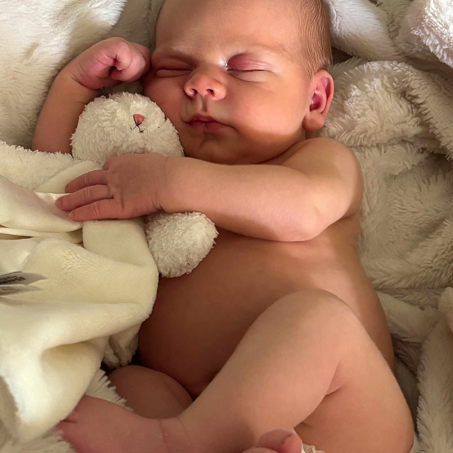 Gray joined the competition — help win amazing prizes! baby, newborn, sleeping, infant, stuffed_animal, blanket, soft, cozy, cute, resting, peaceful, skin, fingers, toes, diaper, bed, comfort, child, portrait, tender