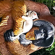 Snowy is registered to the contest to win money with this photo: art, beak, bird, bird_of_prey, ciconiiformes, duck, feather, flamingo, grass, lawn_ornament, organism, sculpture, seabird, tail, terrestrial_animal, trunk, water_bird, wildlife, wing, wood