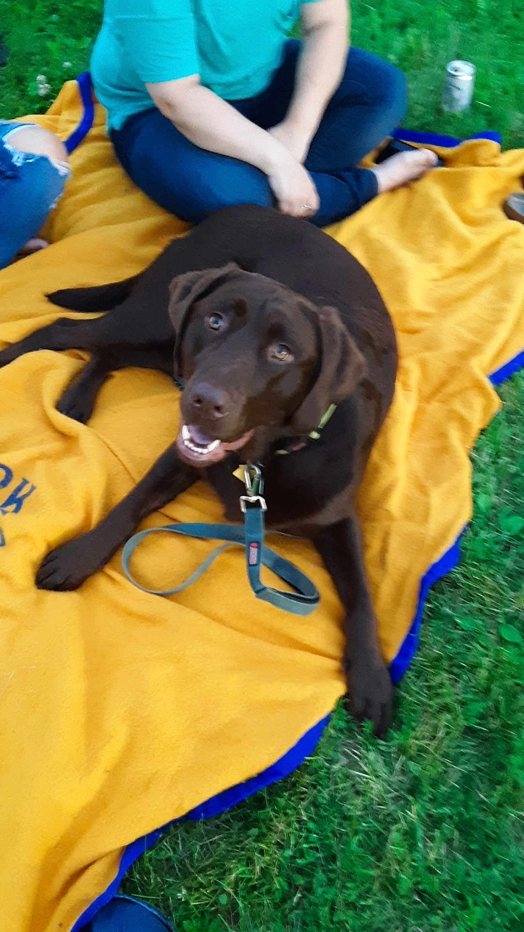 Rolo