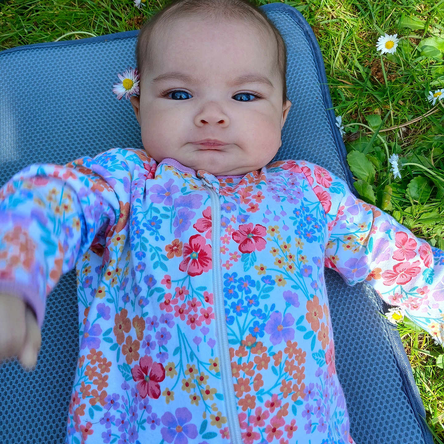 Paizley Jo joined the competition — help win amazing prizes! baby, chair, clothing, coat, cushion, daisy, dress, face, flower, furniture, grass, head, homedecor, jacket, outdoors, person, petal, photography, plant, portrait