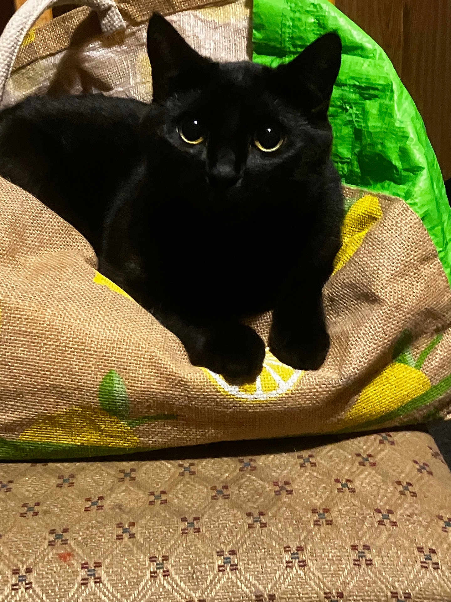 Tommy joined the competition — help win amazing prizes! black_cat, cat, animal, pet, indoor, furniture, textile, pattern, sack, lemon_print, green, yellow, wood, closeup, cute, eyes, fur, relaxing, home, domestic