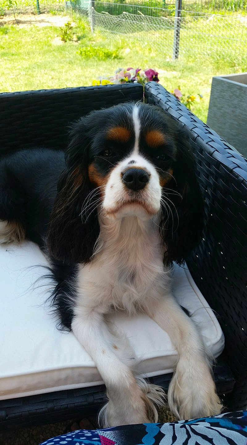 Nina