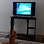 cat, orange_cat, tv, cartoon, television, black_tv_stand, carpet, cables, living_room, indoor, pet, feline, watching, screen, home, floor, furniture, cords, electronics, entertainment