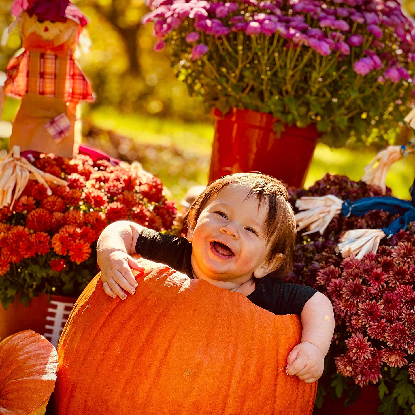 Grayson joined the competition — help win amazing prizes! baby, face, flower, flowerarrangement, flowerbouquet, food, geranium, grass, head, leaf, person, petal, photography, plant, portrait, pottedplant, produce, pumpkin, squash, vegetable
