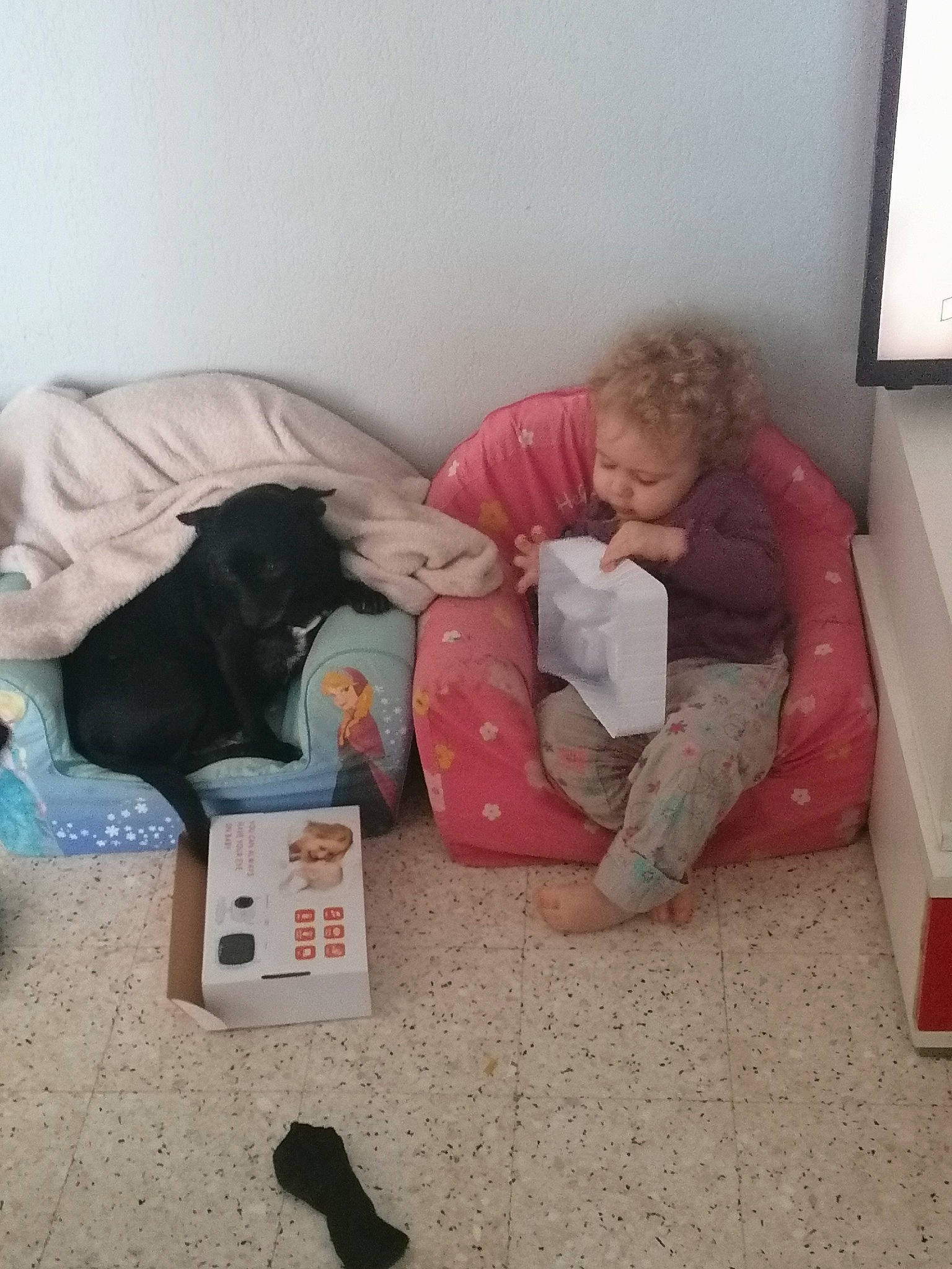 Kelly a rejoint le concours — aidez-le/la à gagner de superbes lots ! baby, comfort, display_device, foot, human, person, working_animal