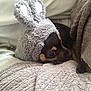 Sookie is registered to the contest to win money with this photo: