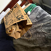 Daisy joined the competition — help win amazing prizes! cat, paper_bag, bed, blanket, cord, indoor, pet, curious, feline, cozy, soft_texture, brown, striped, animal, resting, domestic, playing, cute, home, sleeping_area