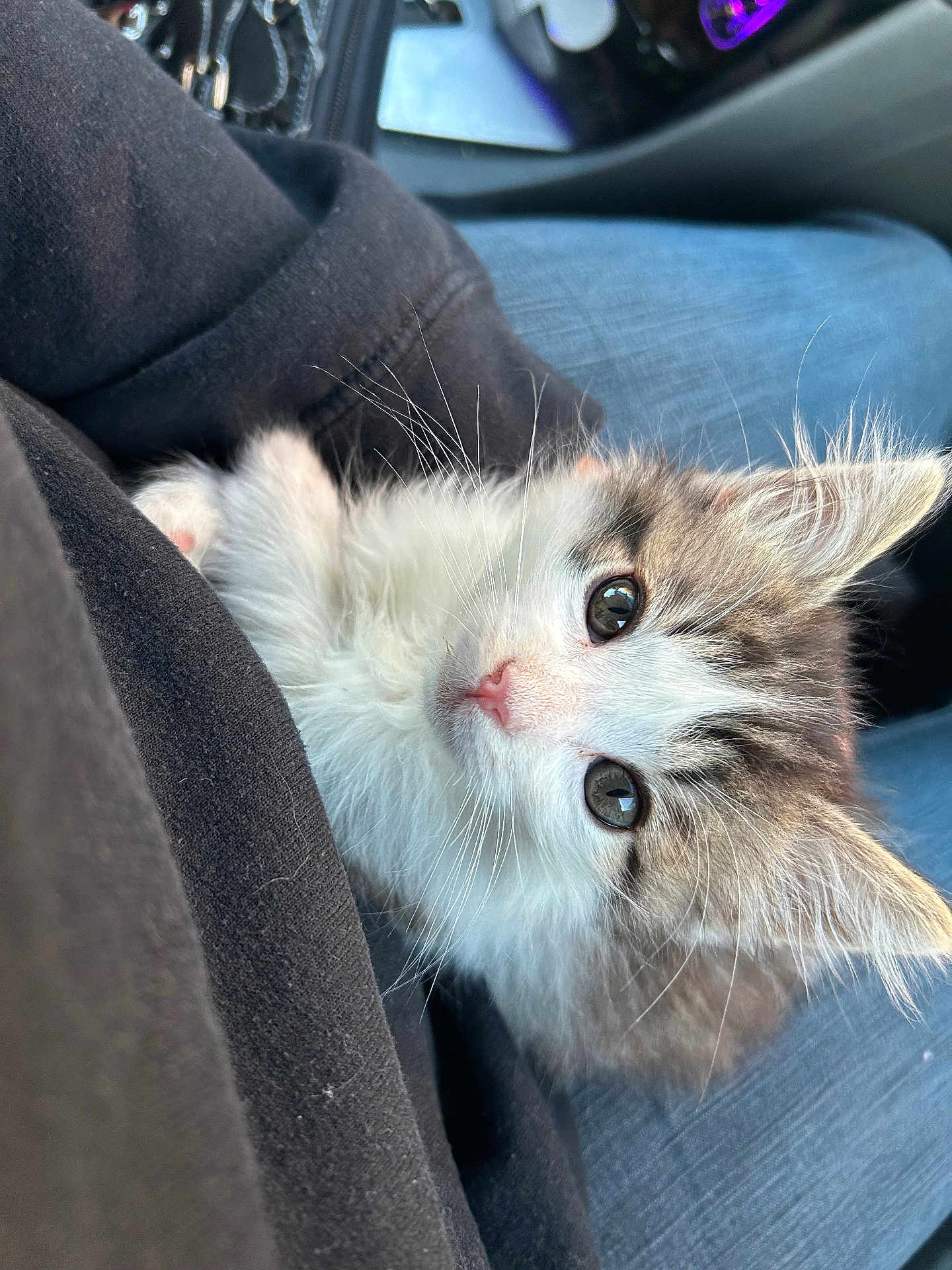 Milo