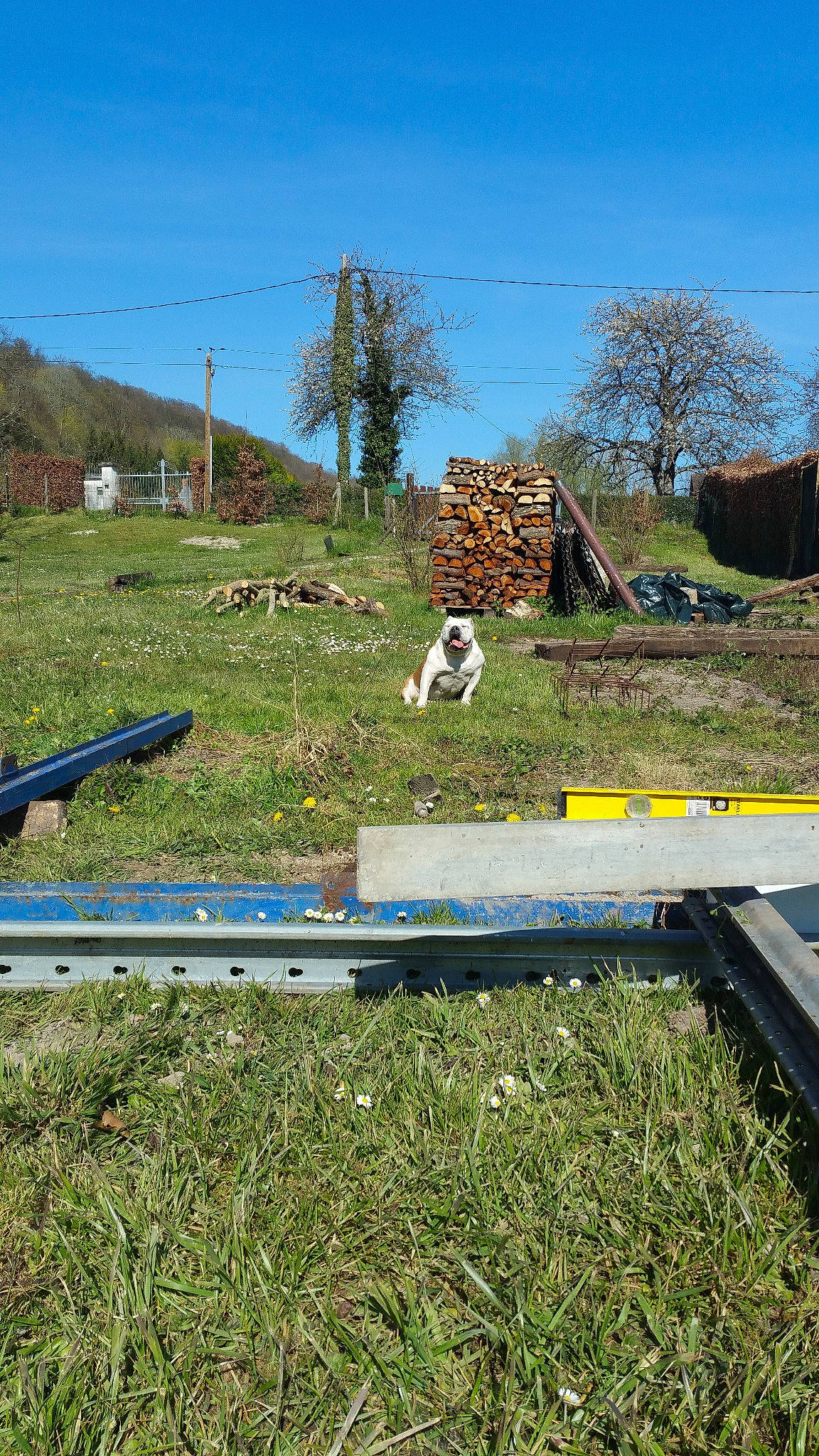Ava a rejoint le concours — aidez-le/la à gagner de superbes lots ! grass, guard_rail, home, house, land_lot, mountain, plant, road, roof, soil, tree, vehicle