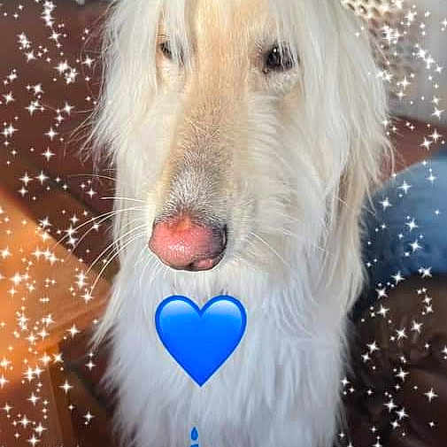 Chloe