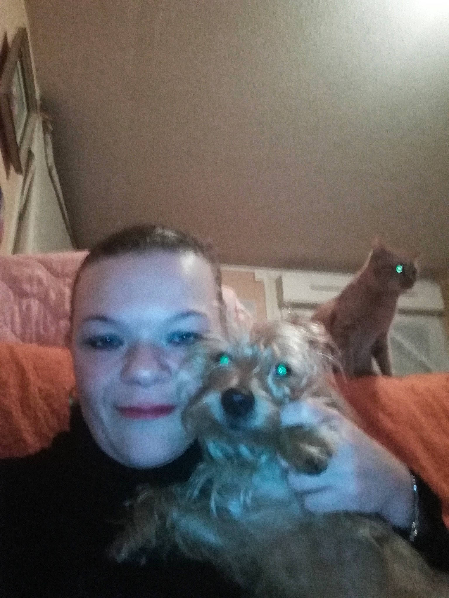 Nougat Raffier participe au concours pour gagner de l'argent avec cette photo : canidae, fun, head, nose, photography, selfie