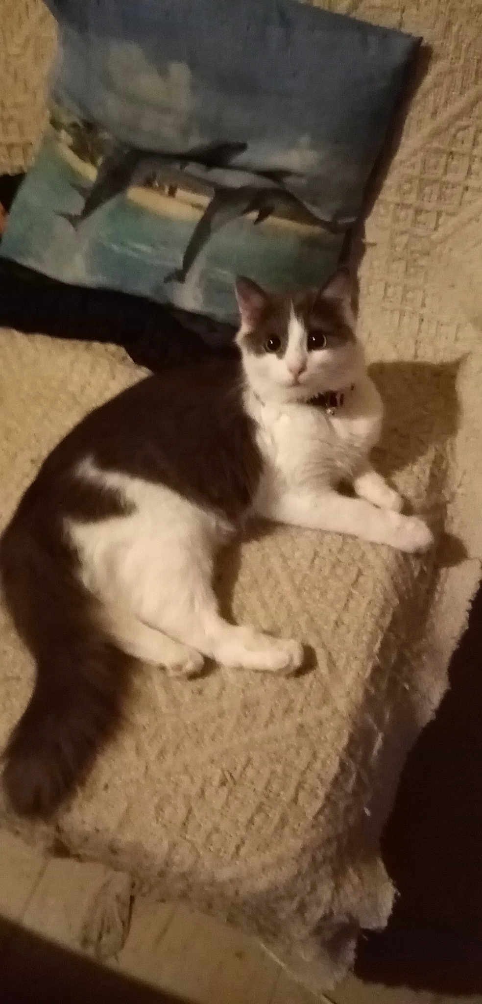 Freya