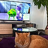 cat, ginger_cat, sleeping, curled_up, furry, pet, animal, indoors, living_room, blanket, purple_blanket, television, animated_show, houseplant, coffee_table, entertainment_center, home_decor, relaxed, cozy, portrait