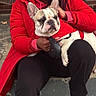 Boss is registered to the contest to win money with this photo: person, dog, french_bulldog, red_coat, glasses, black_pants, black_shoes, steps, concrete, smiling, outdoor, pet, leash, happy, casual, sitting, front_door, brick_wall, daylight, portrait