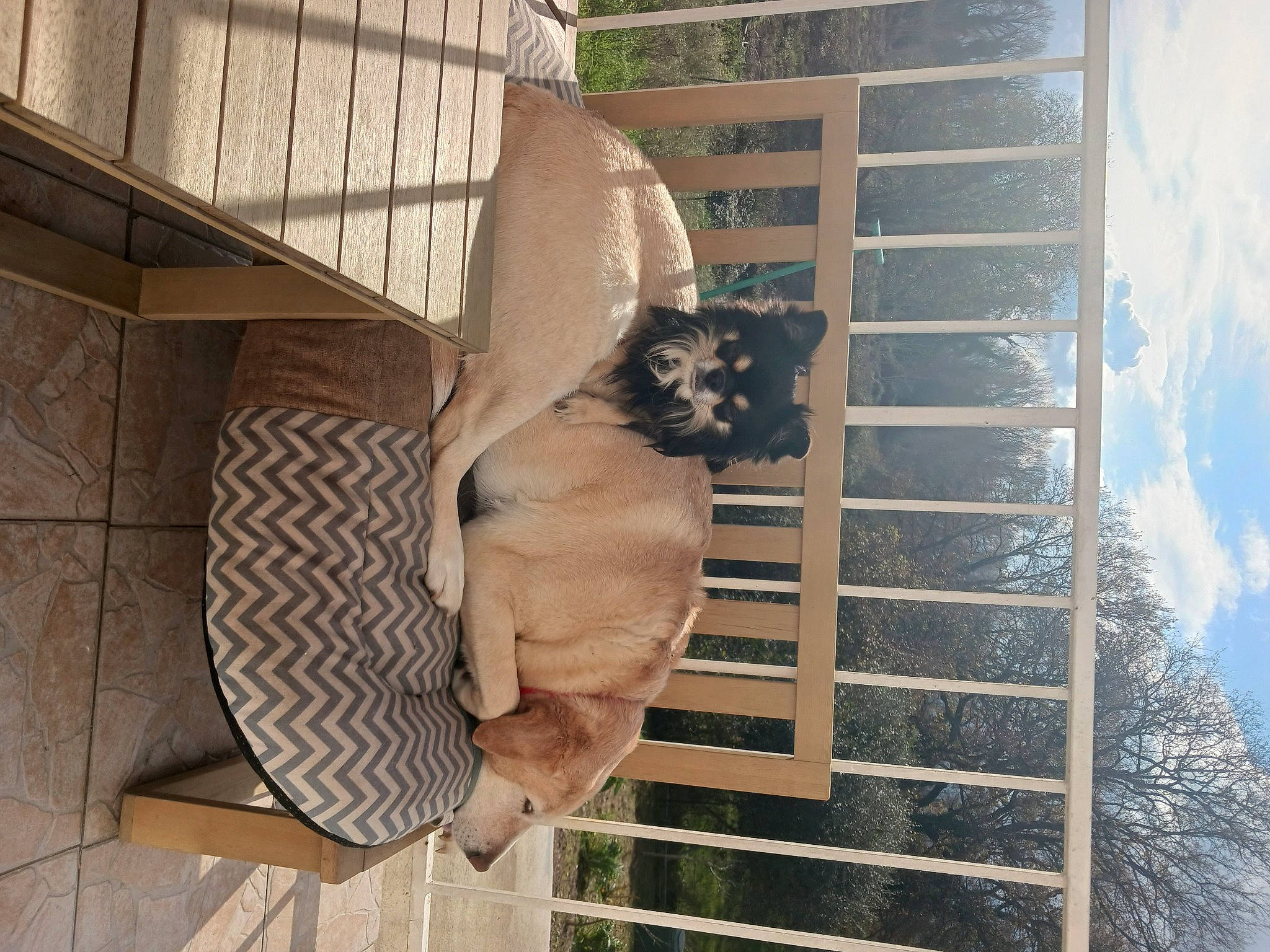 Punch participe au concours pour gagner de l'argent avec cette photo : arch, art, building, carving, daylighting, door, facade, gesture, house, metal, monument, pattern, sculpture, shadow, sky, statue, tail, tree, visual_arts, wood