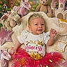 Jaceyn is registered to the contest to win money with this photo: baby, child, infant, princess, crown, tutu, pink, smiling, sitting, portrait, stuffed_animals, teddy_bear, unicorn, castle, fairy_tale, nursery, toys, blanket, glitter, fantasy
