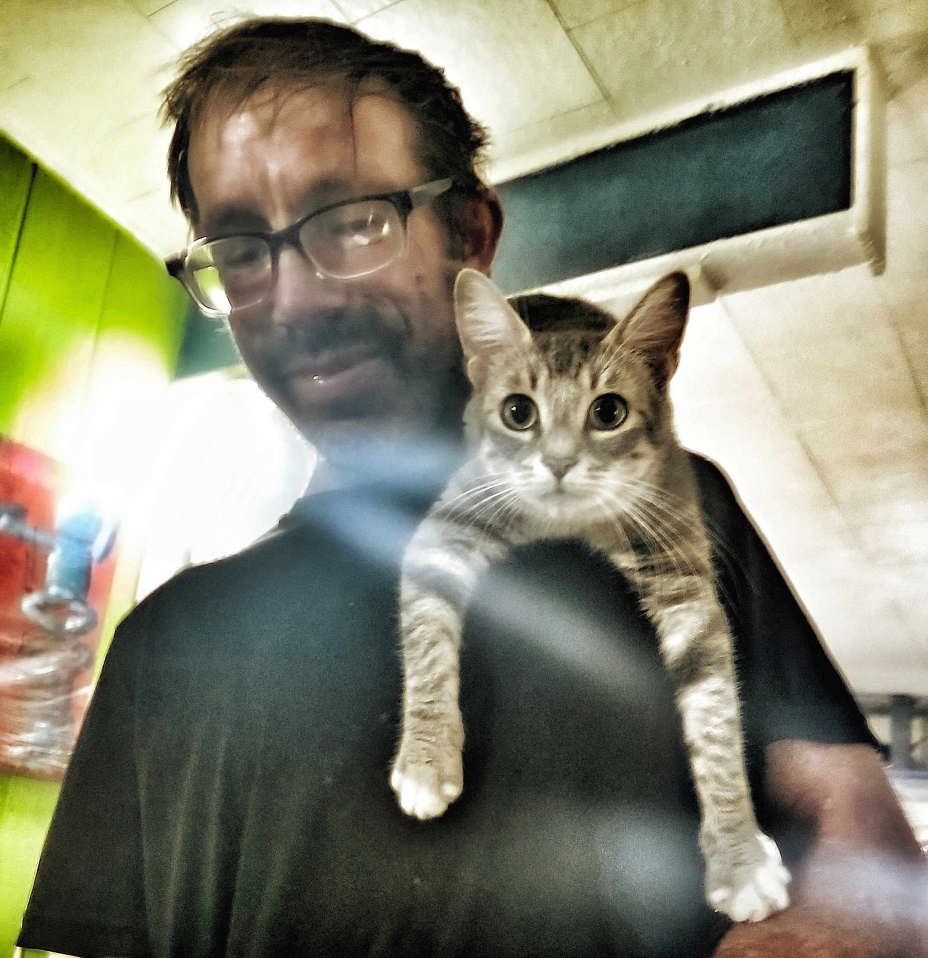 Rudy is registered to the contest to win money with this photo: man, glasses, cat, tabby_cat, shoulder, indoor, smile, light, lens_flare, black_shirt, ceiling, wall, water_dispenser, facial_hair, curious, pet, human, portrait, eyewear, blurred_background