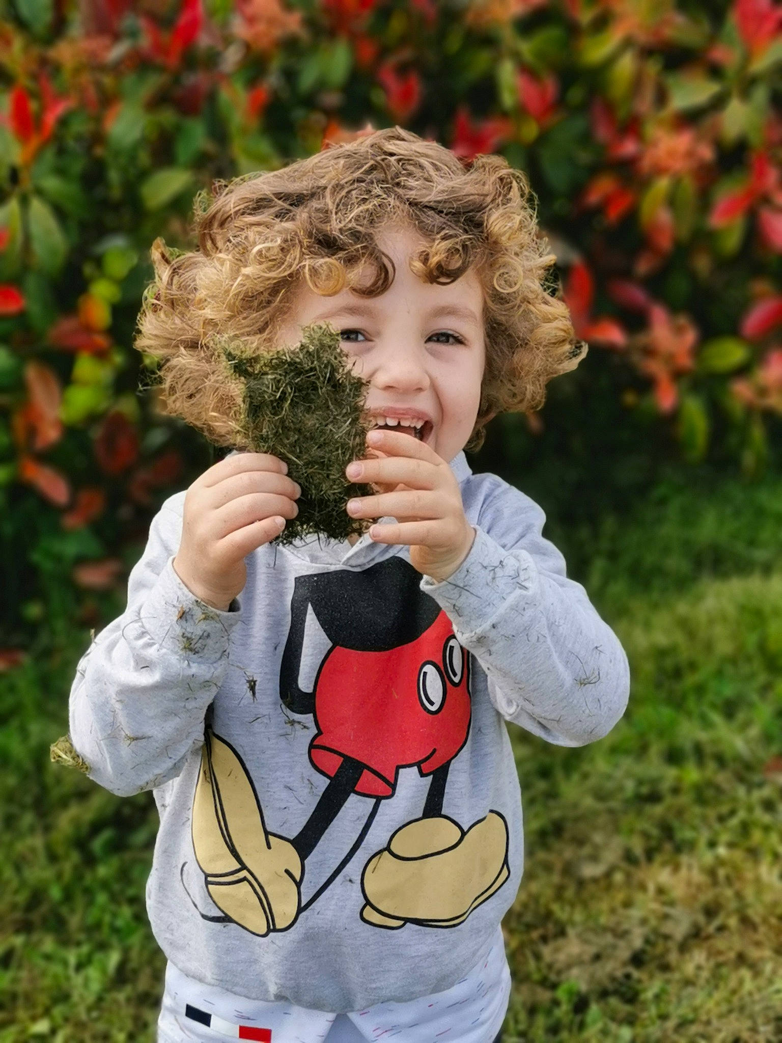 Wilson participe au concours pour gagner de l'argent avec cette photo : autumn, child, person, photography, plant, toddler, tree