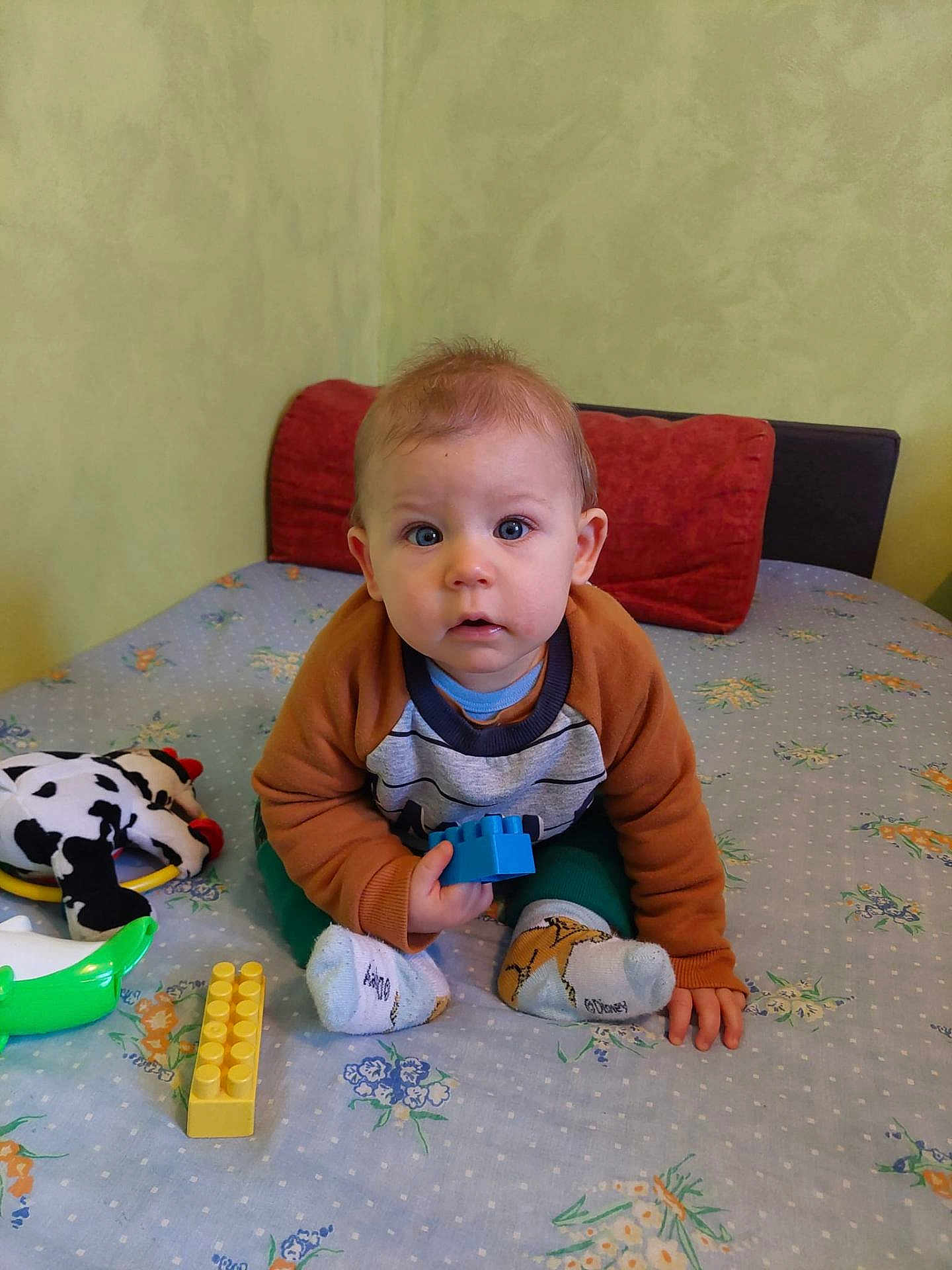 Arthur participe au concours pour gagner de l'argent avec cette photo : baby, infant, toddler, child, sitting, bed, bedding, toy, building_block, blue_block, yellow_block, plush_toy, cow_plush, pillow, socks, sweater, wide_eyes, curious_expression, indoor, portrait