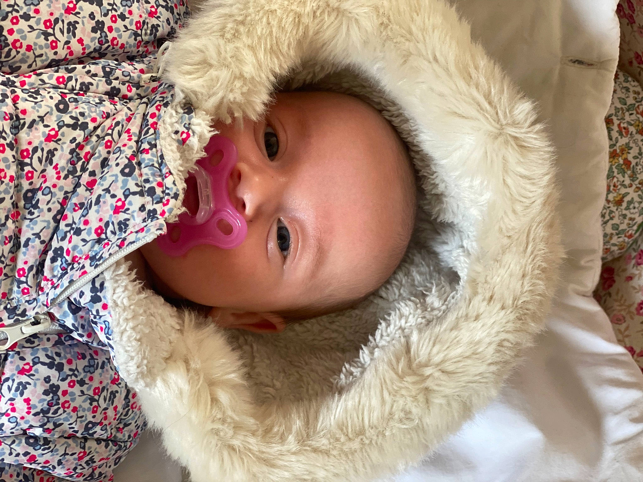 Louisa a rejoint le concours — aidez-le/la à gagner de superbes lots ! cap, cheek, child, comfort, eye, eyelash, face, freezing, fur, fur_clothing, happy, jacket, lip, nose, parka, person, smile, toddler, tree, winter