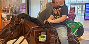 Dallas joined the competition — help win amazing prizes! child, boy, mechanical_horse, ride, shopping_mall, indoor, toy, reins, jeans, sneakers, man, background, window, door, floor, light, decorations, barney_ride, fun, smile