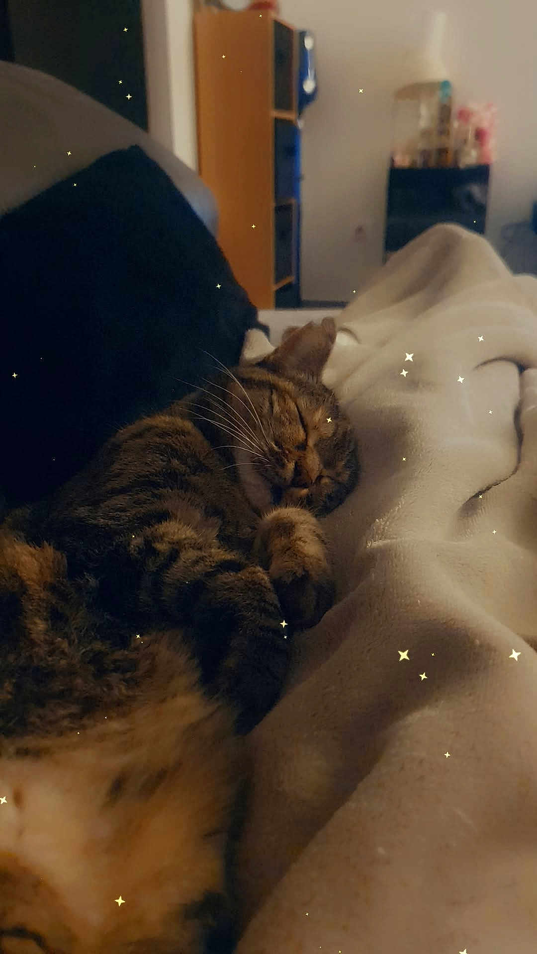 Tigrou