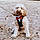 Sully