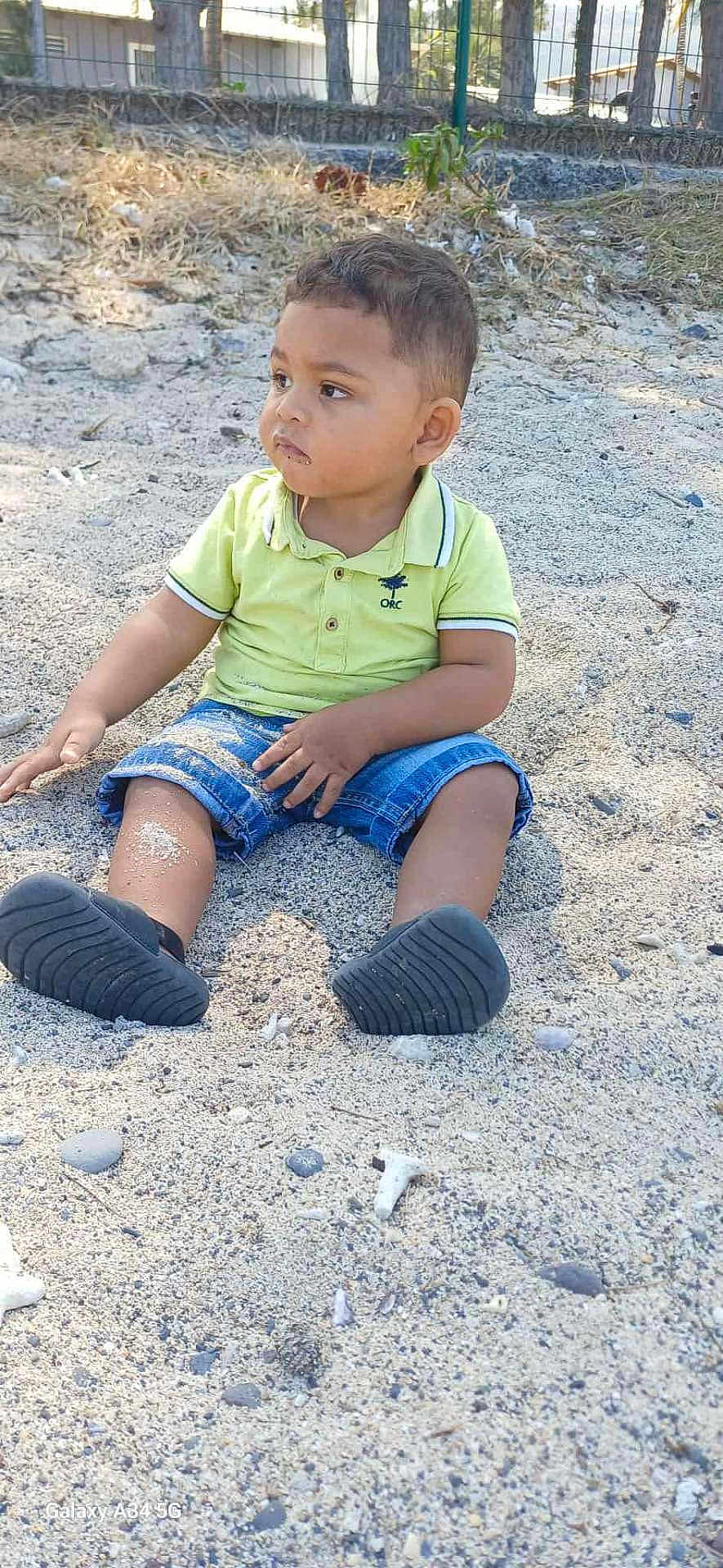 Maëlan participe au concours pour gagner de l'argent avec cette photo : child, toddler, sand, outdoor, sitting, shorts, polo_shirt, green_shirt, black_shoes, legs, face, nature, trees, fence, daylight, casual_clothing, young_child, ground, curious, playful