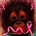 Magali B. T.