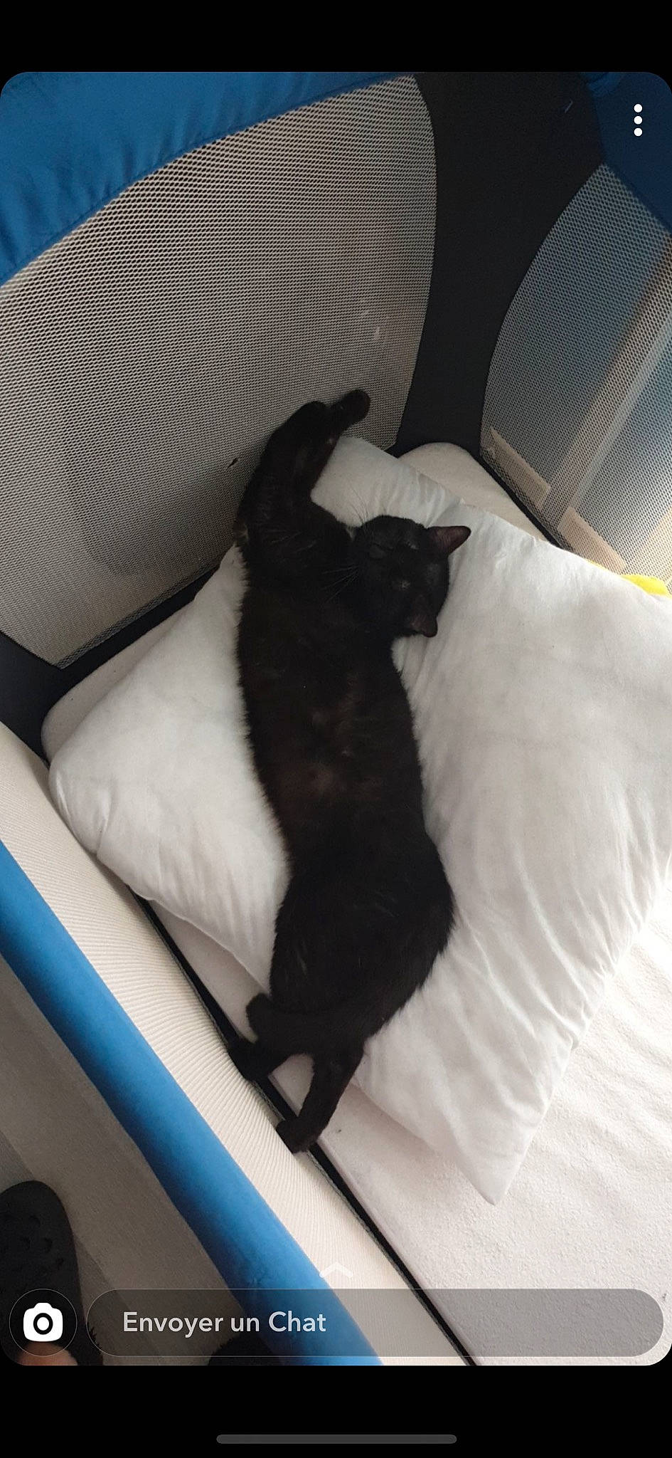 Simba participe au concours pour gagner de l'argent avec cette photo : black_cat, canidae, carnivore, cat, comfort, dog_breed, felidae, fur, furniture, kitten, linens, nap, pillow, puppy, small_to_medium_sized_cats, sporting_group, tail, whiskers