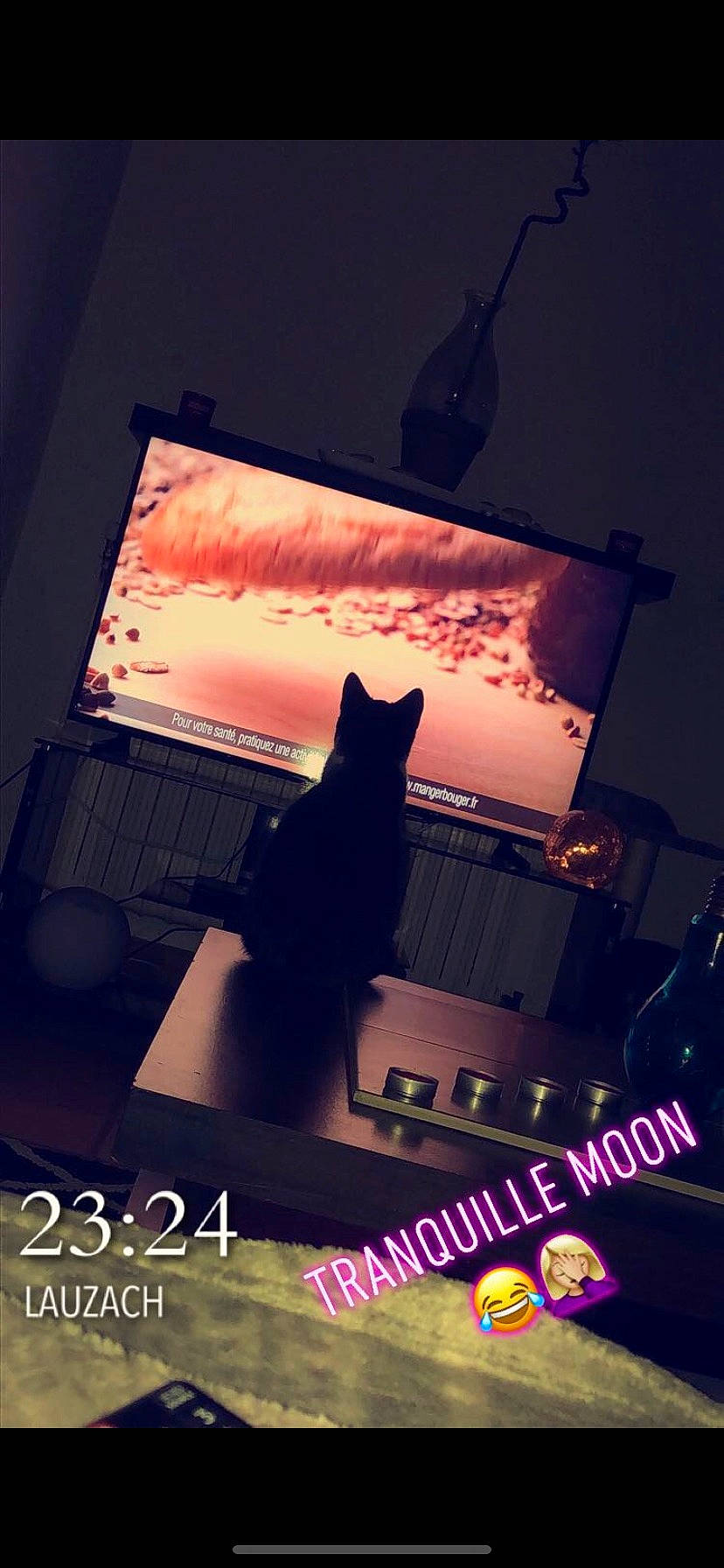 Moon participe au concours pour gagner de l'argent avec cette photo : black_cat, cat, felidae, night, photo_caption, photography, poster, sky, small_to_medium_sized_cats