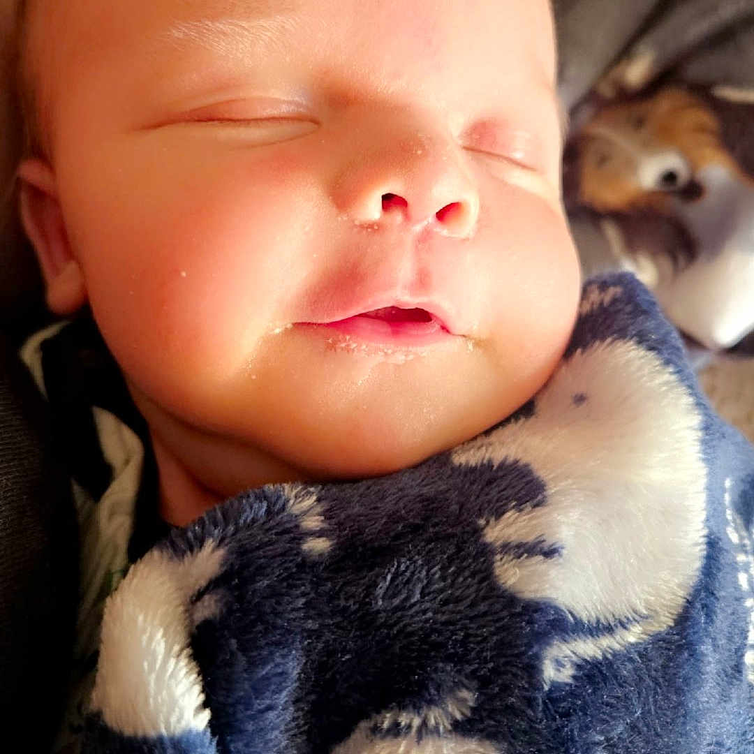 Maddex is registered to the contest to win money with this photo: baby, blanket, child, closeup, cozy, cute, expression, face, head, indoors, infant, peaceful, portrait, resting, skin, sleeping, soft, warm, wrapped, young