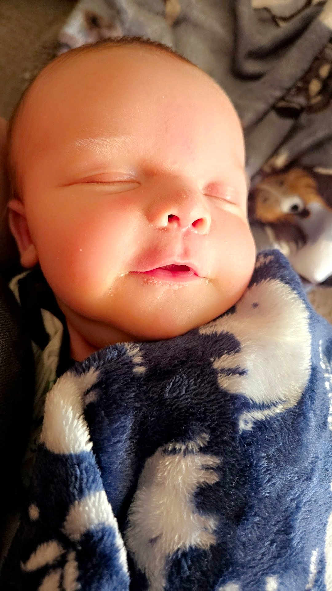 Maddex is registered to the contest to win money with this photo: baby, sleeping, blanket, face, infant, closeup, soft, cute, peaceful, child, cozy, warm, portrait, young, wrapped, resting, indoors, skin, head, expression