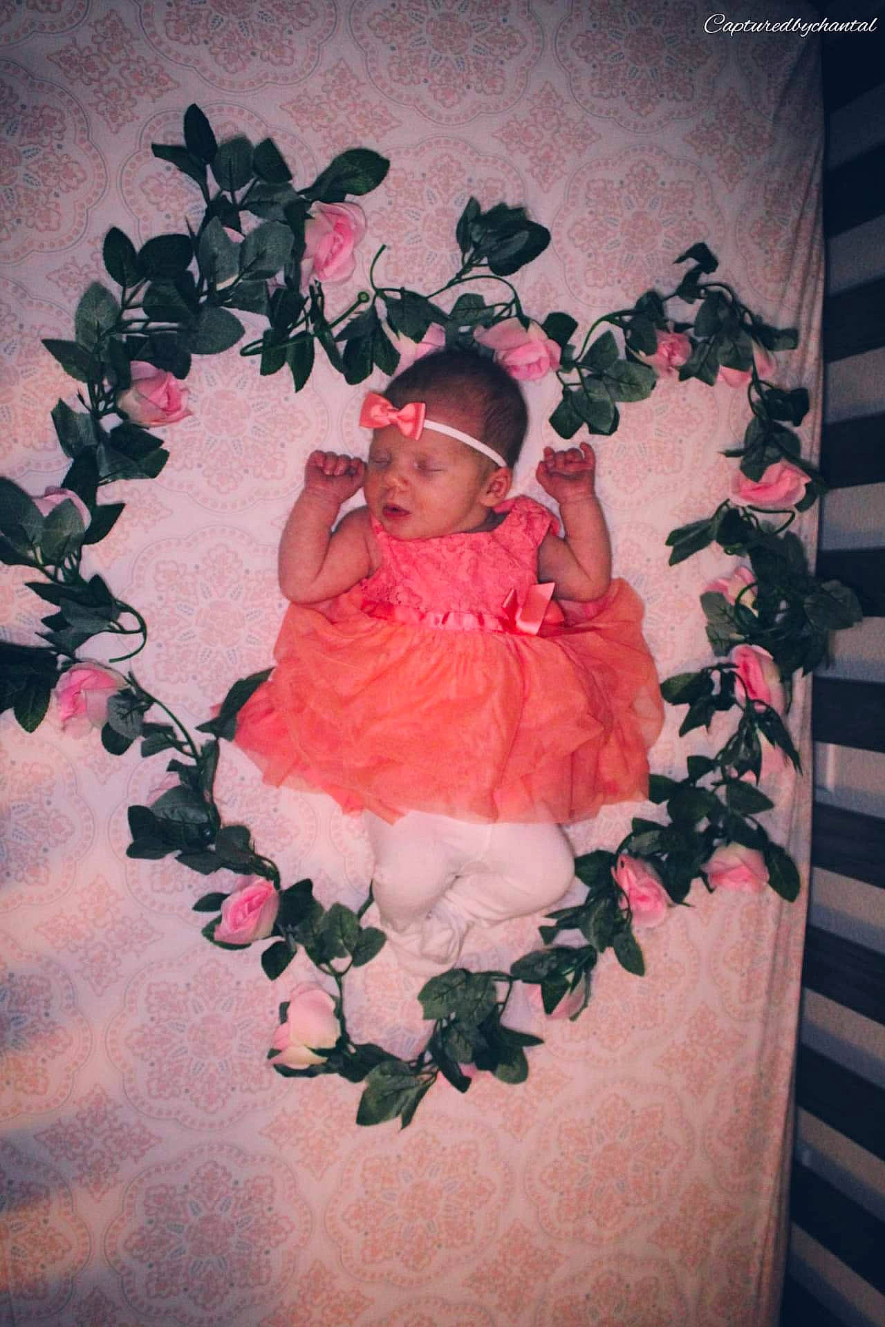 Marceline joined the competition — help win amazing prizes! art, baby, baby_products, child, fictional_character, flower, headwear, person, petal, pink, plant, product, rose, rose_family, textile, toddler