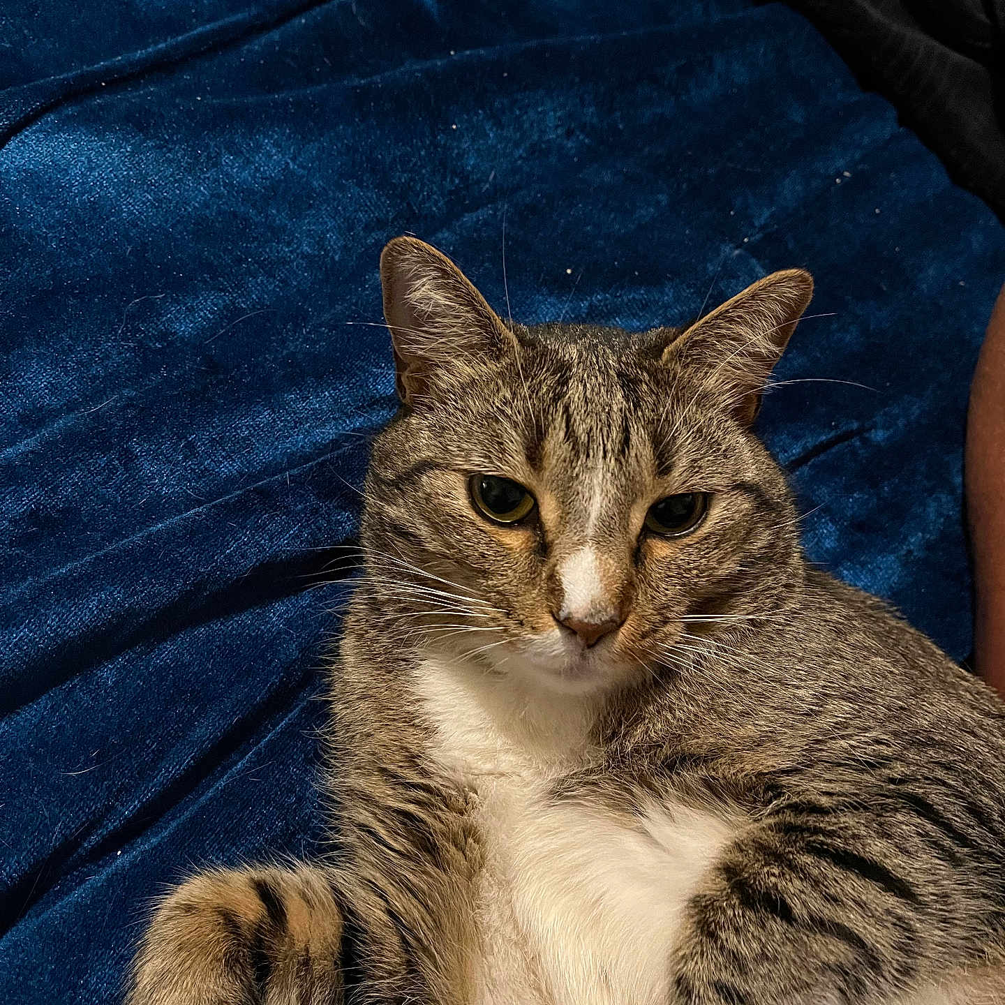 Duke