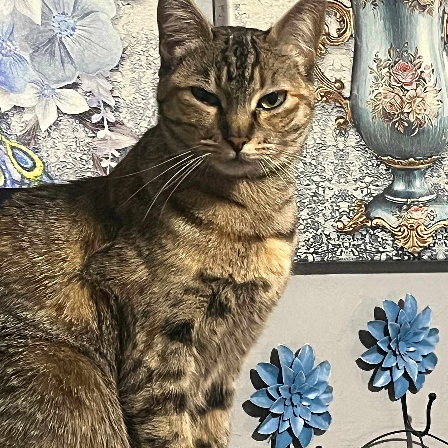 Bella