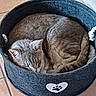 Grizou participe au concours pour gagner de l'argent avec cette photo :