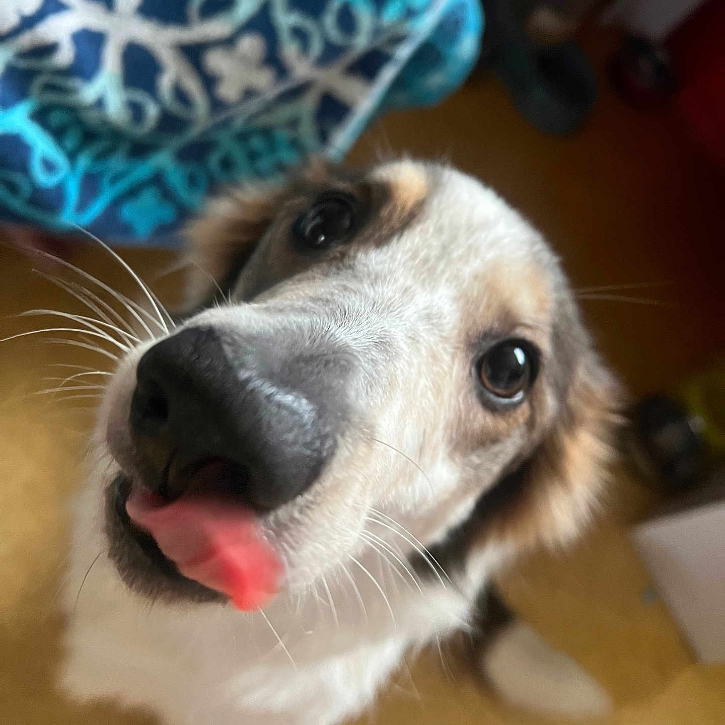Taïka