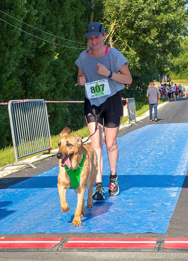 Grace a rejoint le concours — aidez-le/la à gagner de superbes lots ! animal_sports, cani_cross, canidae, carnivore, dog, dog_breed, dog_sports, dog_walking, half_marathon, headwear, individual_sports, joy, leash, long_distance_running, mammal, marathon, obedience_training, person, recreation, running