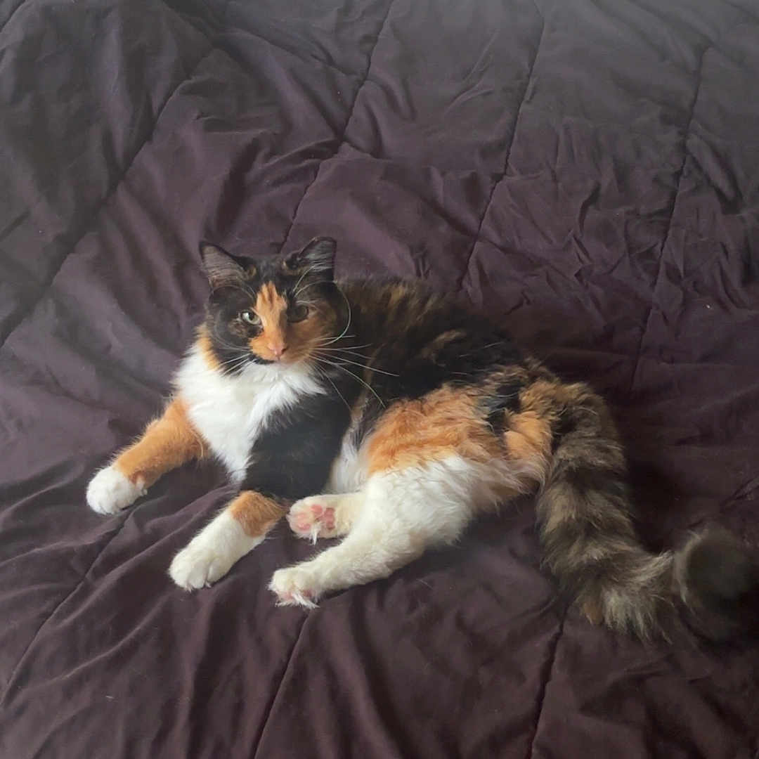 Peaches