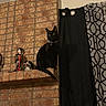 black_cat, cat, brick_wall, curtain, doll, figurine, indoor, pet, animal, sitting, decor, shelf, patterned_curtain, window_treatment, alert, domestic_cat, feline, still_life, home_interior, watchful