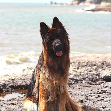 Tao
