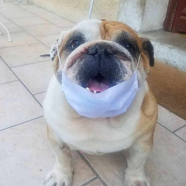 Madame