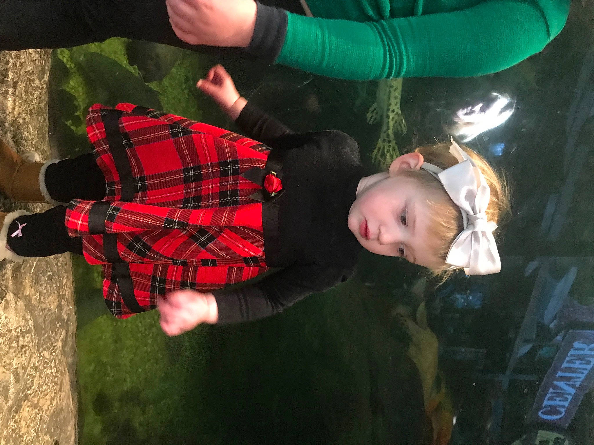 Natalie joined the competition — help win amazing prizes! baby, baby_products, child, event, fun, gesture, grass, happy, headwear, pattern, person, plaid, plant, recreation, sock, tartan, toddler, tree