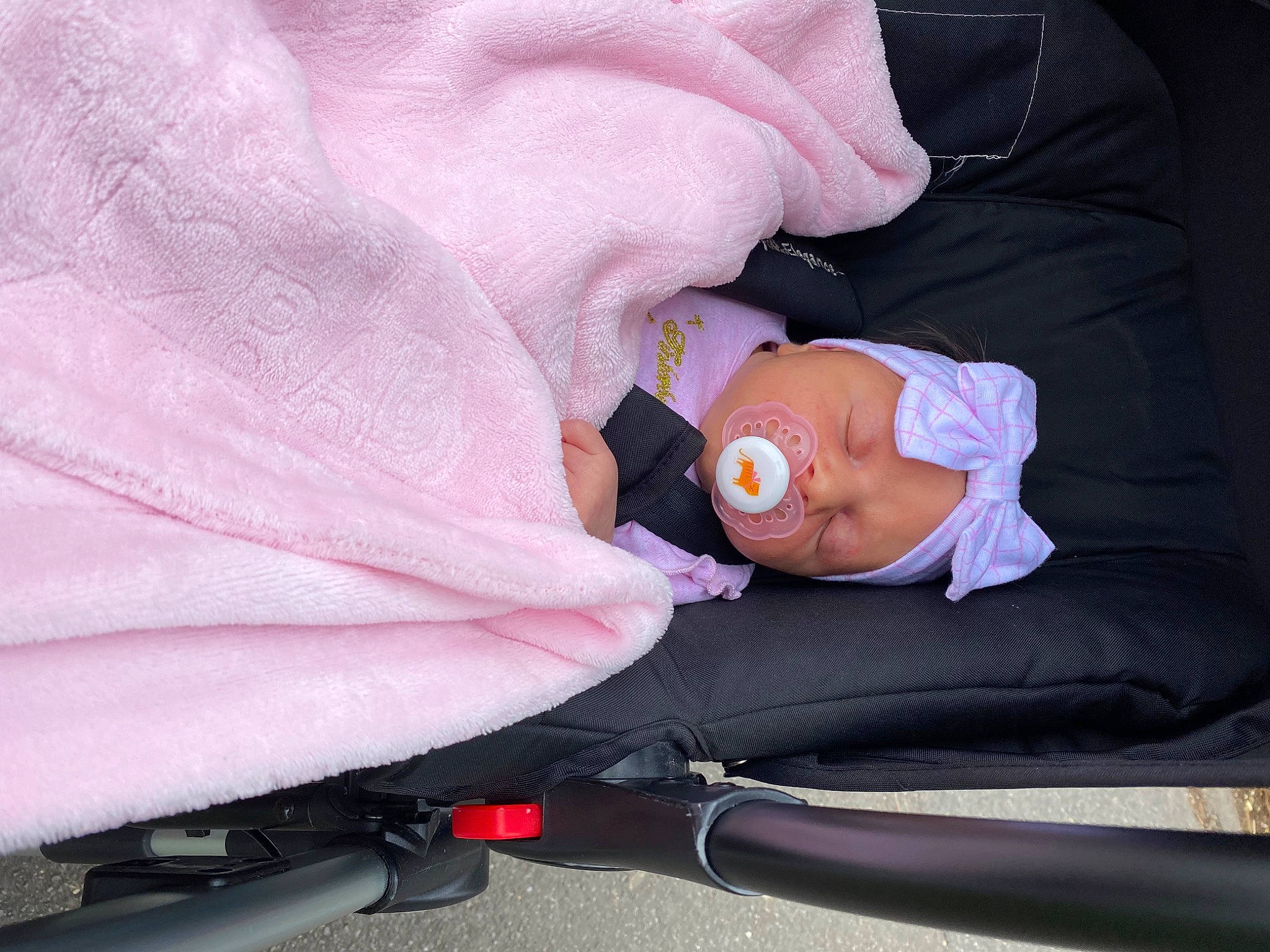 Daria joined the competition — help win amazing prizes! baby, baby_carriage, baby_products, car_seat, child, flower, hand, headwear, person, pink, plant, product, seat_belt, sleep, toddler